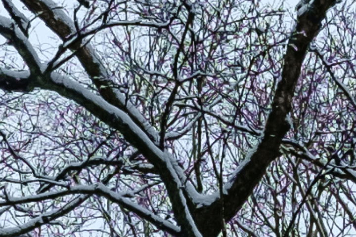 Mouse over to see effect of changed Lightroom settings