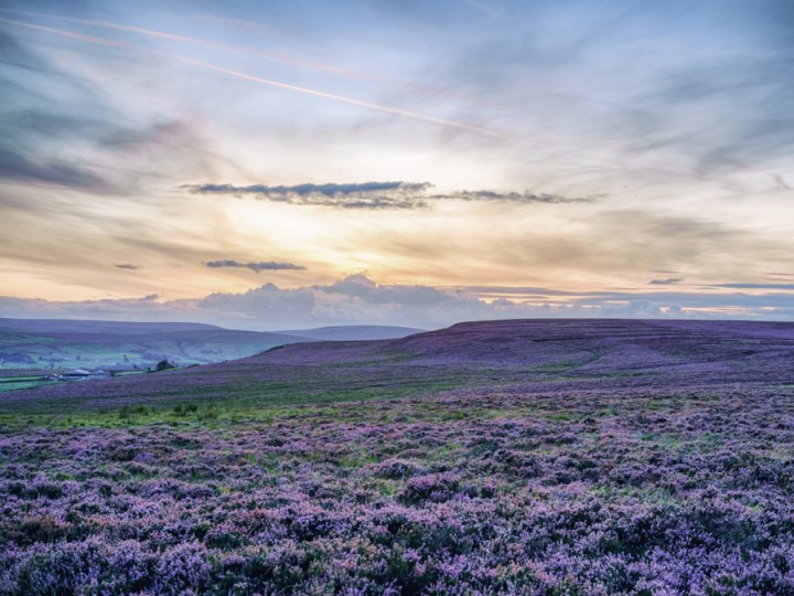 Late summer photo&nbsp;potpourri