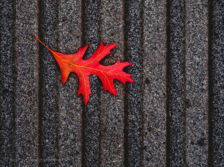 From the Archives&nbsp;#14