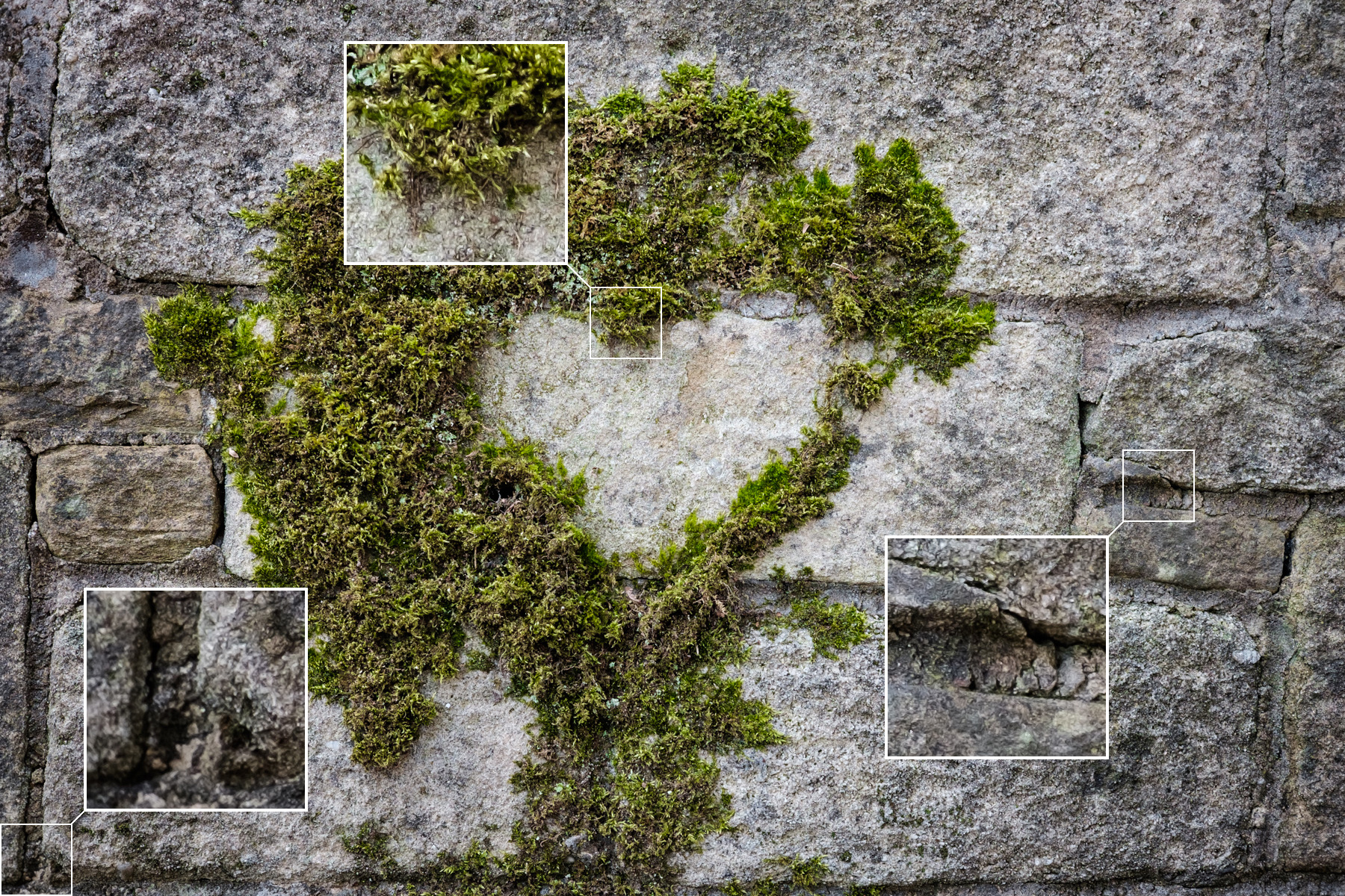 Insets showing sharpness at 100% in the marked locations.